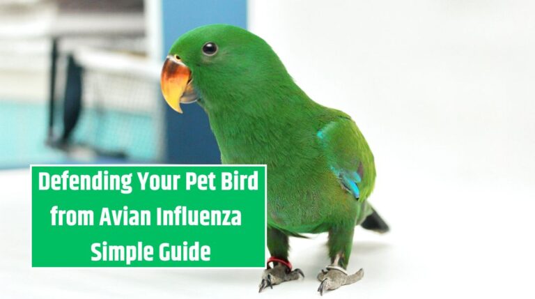 Defending Your Pet Bird from Avian Influenza - Simple Guide