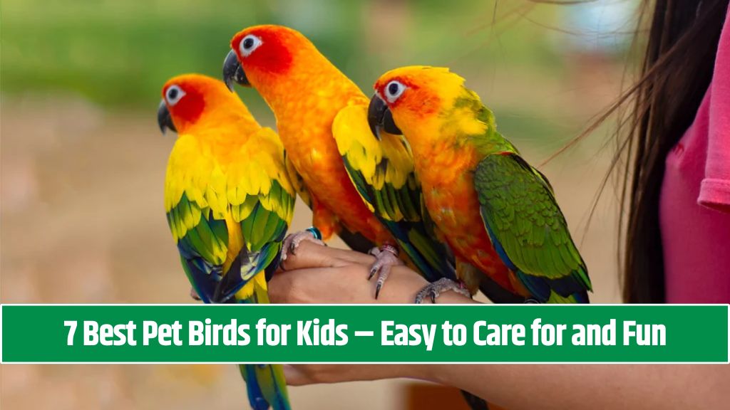 7 Best Pet Birds for Kids – Easy to Care for and Fun