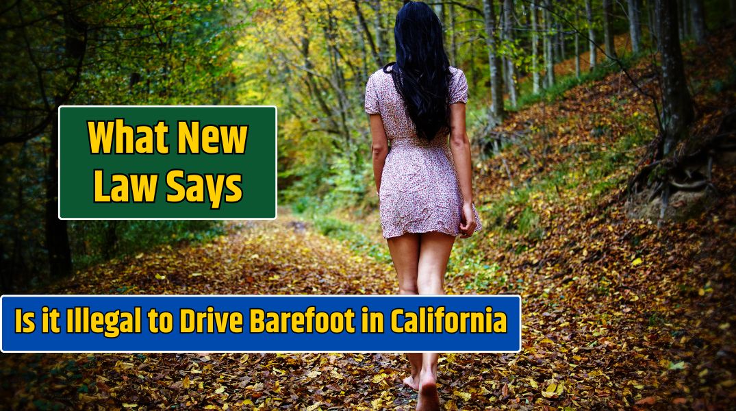 Is it Illegal to Drive Barefoot in California Here's What Law Says!