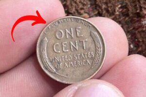 The Lincoln Wheat Penny Valued at $7.7 Million, Still in Circulation