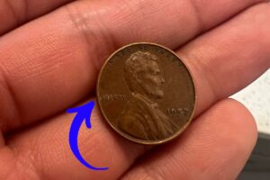 The Lincoln Wheat Penny Valued at $8.2 Million, Still in Circulation