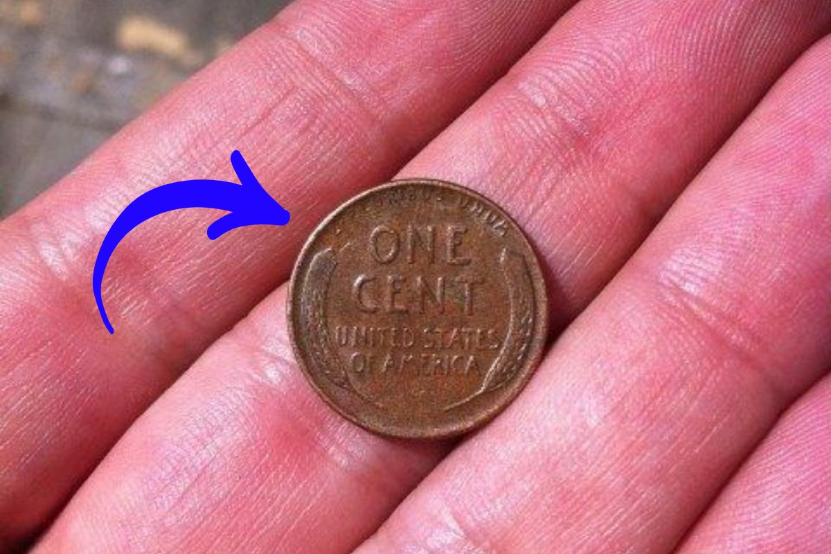 The Lincoln Wheat Penny Valued at $3.7 Million, Still in Circulation