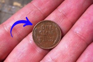 The Lincoln Wheat Penny Valued at $7.9 Million, Still in Circulation