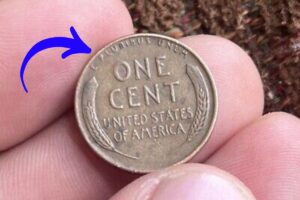 The Lincoln Wheat Penny Valued at $9.5 Million, Still in Circulation