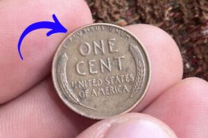 The Lincoln Wheat Penny Valued at $13 Million, Still in Circulation