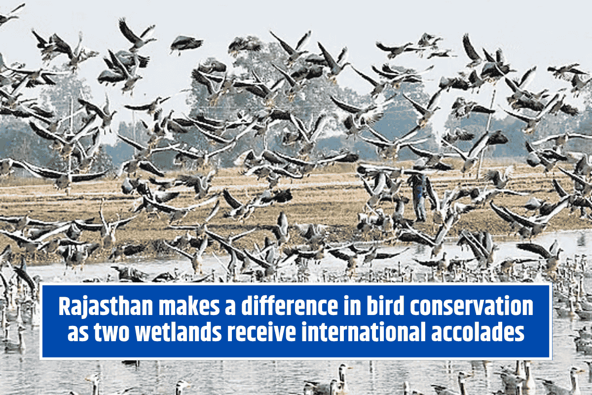 Rajasthan makes a difference in bird conservation as two wetlands receive international accolades
